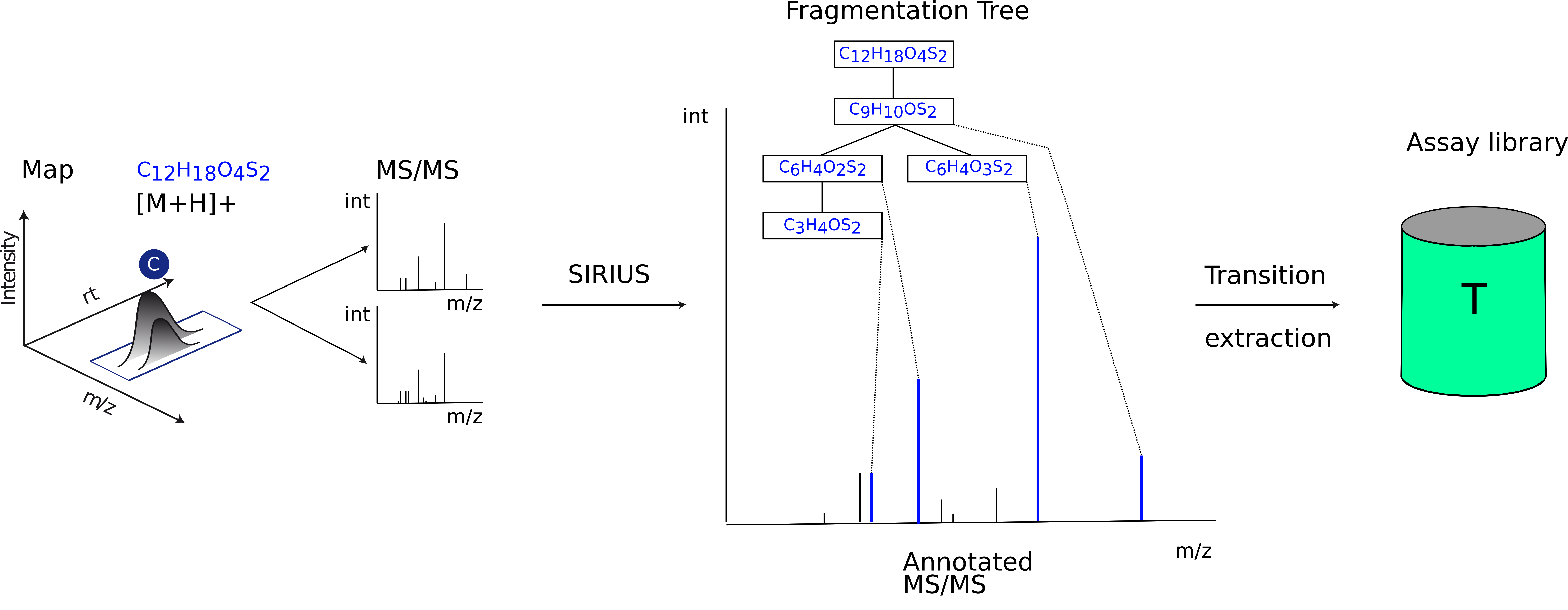 Assay library generation