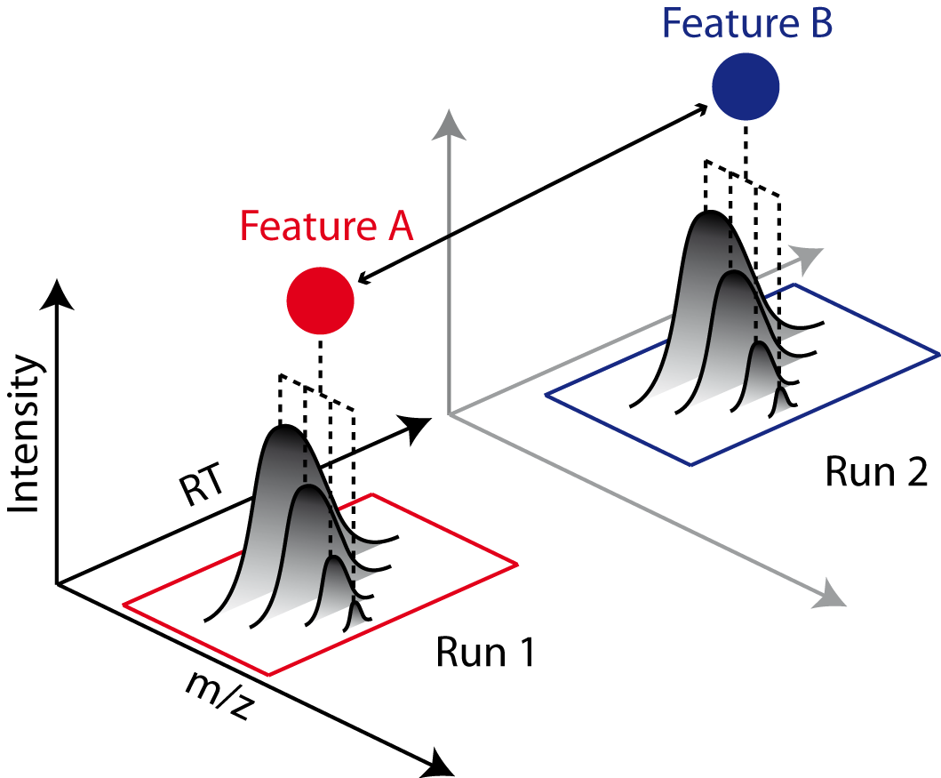 feature linking example